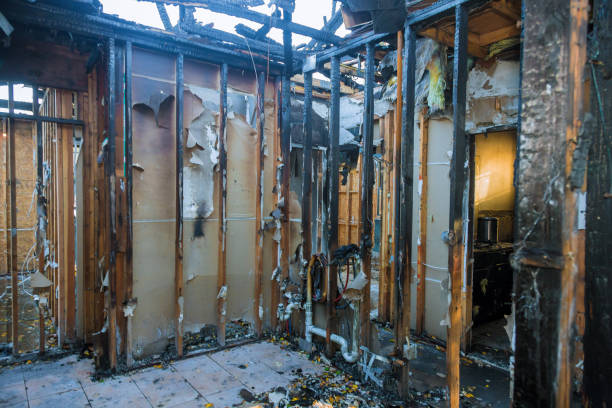 Professional Smoke Damage Removal technician working in Luke Air Force Base, AZ